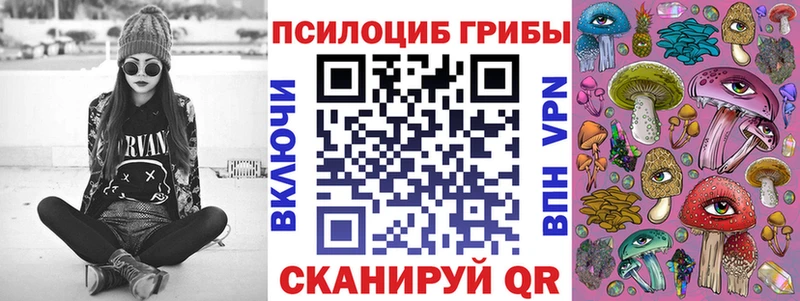 Псилоцибиновые грибы Psilocybe  Усть-Кут 